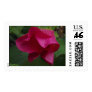 Rained Flower III Postage Stamp