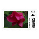 Rained Flower III postage