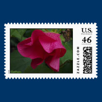 Rained Flower III postage
