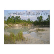 Rainforest Alert postcard