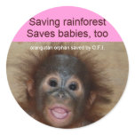 Rainforest Babies Round Stickers