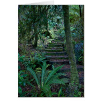 Rainforest Greeting Card