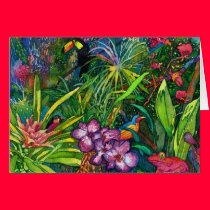 Rainforest cards