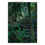 Rainforest Card