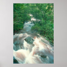 Rainforest Cascade Hana Posters