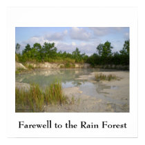 Rainforest Conservation poster posters by Rebecca_Reeder Rainforest Conservation poster posters