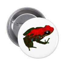 Rainforest Dart Frog Pin