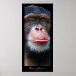 "RAINFOREST DREAMER" Chimpanzee Art Poster posters