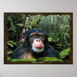 "RAINFOREST DREAMS II" Chimpanzee Art Poster posters