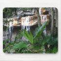 Rainforest Falls Mousepad