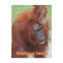 Rainforest Family Postcards