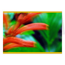 "Rainforest Flowers" Cards