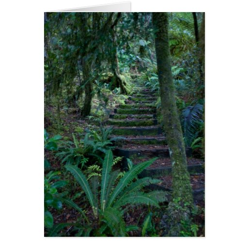 Rainforest Greeting Card