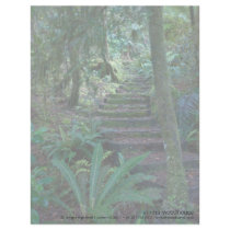 Rainforest Customized Letterhead