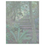 Rainforest letterhead