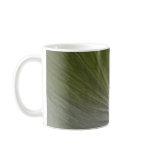 RAINFOREST MAGIC Series