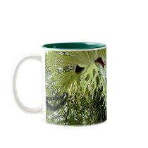 RAINFOREST MAGIC Series mugs