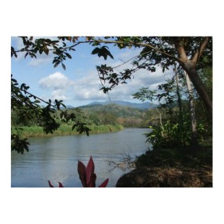 Rainforest of Costa Rica print