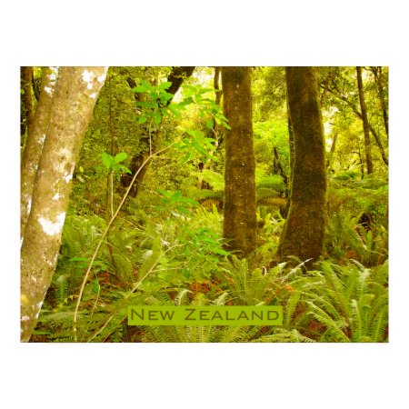 Rainforest of New Zealand print