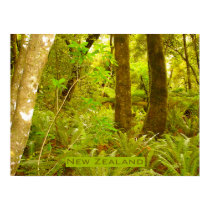 Rainforest of New Zealand posters by Albomfamily Rainforest of New Zealand posters