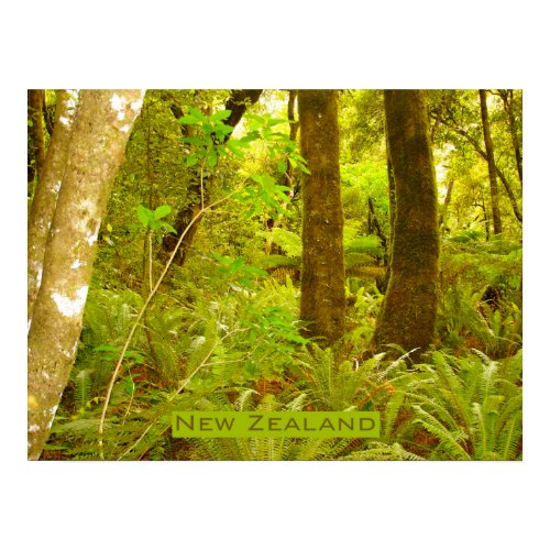 Rainforest of New Zealand print