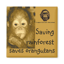 Rainforest & Orangutans Refrigerator Magnet