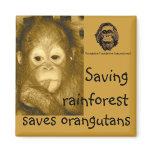 Rainforest &amp; Orangutans Refrigerator Magnet