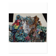 Rainforest Paradise Post Cards