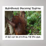 Rainforest Personal Trainer Print