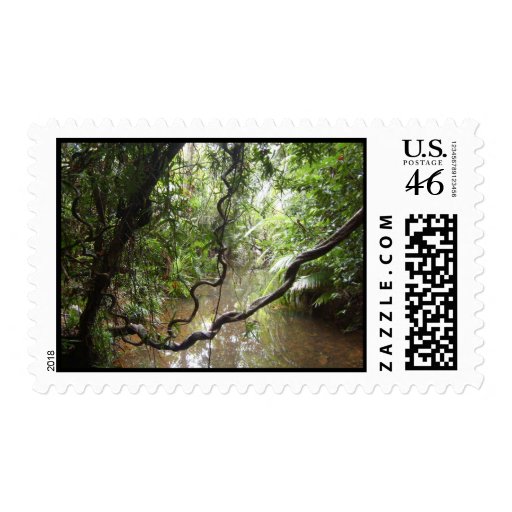 Rainforest Postage