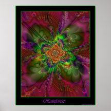 Rainforest poster - green border