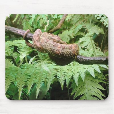 Rainforest Snake Wrap - mousepad by Horseshoes3