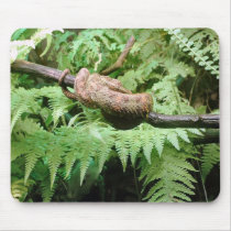 Rainforest Snake Wrap - mousepad by Horseshoes3 Rainforest Snake Wrap - mousepad