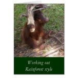 Rainforest Style Work Out cards