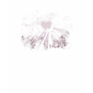 ladies_fitted_twofer_light - Tropical rain forests are the "jewels of the Earth".: Sizes  Available colors: chocolatepink