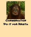 Rainforest Wildlife Conservation t-shirts