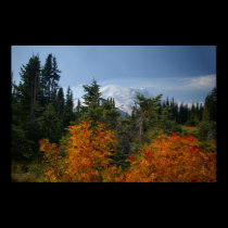Rainier autumn posters