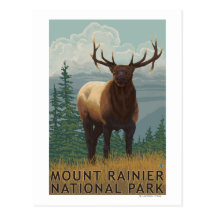 Rainier National Park, WashingtonElk Scene Post Cards