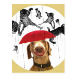 Raining Cats, Dogs Like It Postcards