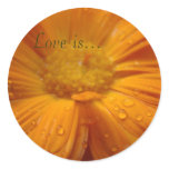 Rainsoaked, Love is... Sticker