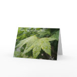 Rainy day anniversaries cards