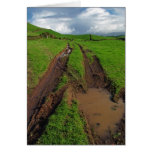 Rainy day at the pasture card