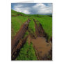 Rainy day at the pasture card
