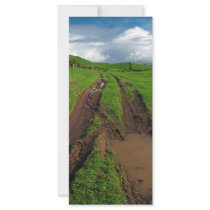 Rainy day at the pasture rack card
