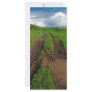 Rainy day at the pasture rack card