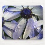 Rainy Day Blues mousepads