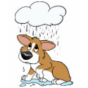 Rainy Day Corgi Women's Destroyed TShirt by MenagerieMayhem Rainy Day Corgi Women's Destroyed TShirt