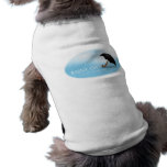 Rainy Day Pet Clothes