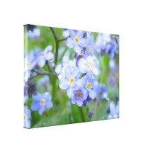 Rainy Day Forget Me Nots Gallery Wrapped Canvas