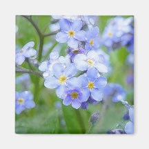 Rainy Day Forget Me Nots Magnets